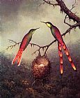 Martin Johnson Heade Two Hummingbirds Garding an Egg painting